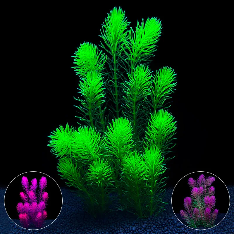 Aquarium scenery simulation aquatic plants fish tanks landscaping plastic fake grass cartilaginous grass decorative products
Aquarium scenery simulation aquatic plants fish tanks landscaping plastic fake grass cartilaginous grass decorative products