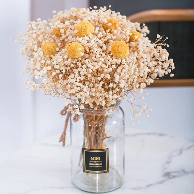 Dried Baby's Breath Flower Bouquets Preserved Flowers Natural Fresh Gypsophila Gift for Wedding Outdoor Decoration Home Decor
Dried Baby's Breath Flower Bouquets Preserved Flowers Natural Fresh Gypsophila Gift for Wedding Outdoor Decoration Home Decor