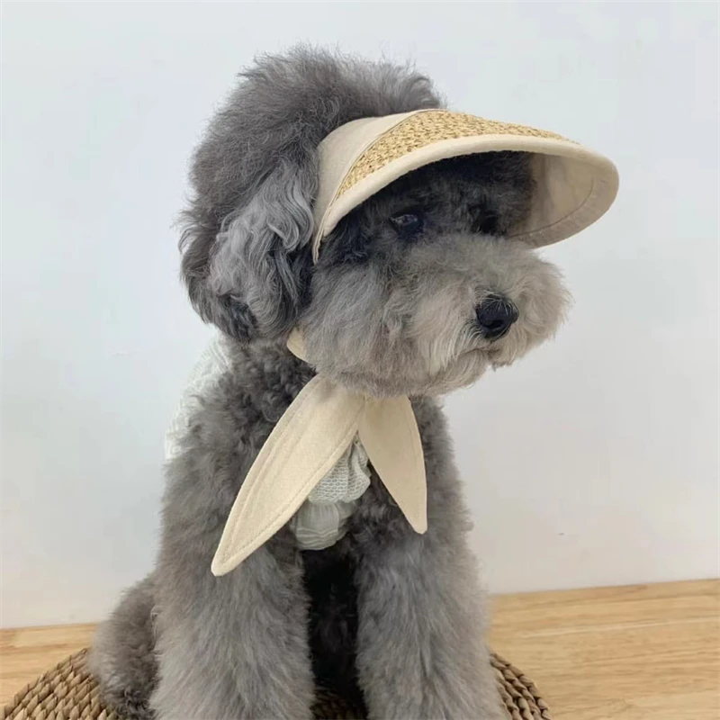 Ins Cat Pet Dog Hat Small Dog Sunscreen Sun Hat Pastoral Style Decoration Photo Dog Costume Hat for Cat Dog Birthday
Ins Cat Pet Dog Hat Small Dog Sunscreen Sun Hat Pastoral Style Decoration Photo Dog Costume Hat for Cat Dog Birthday