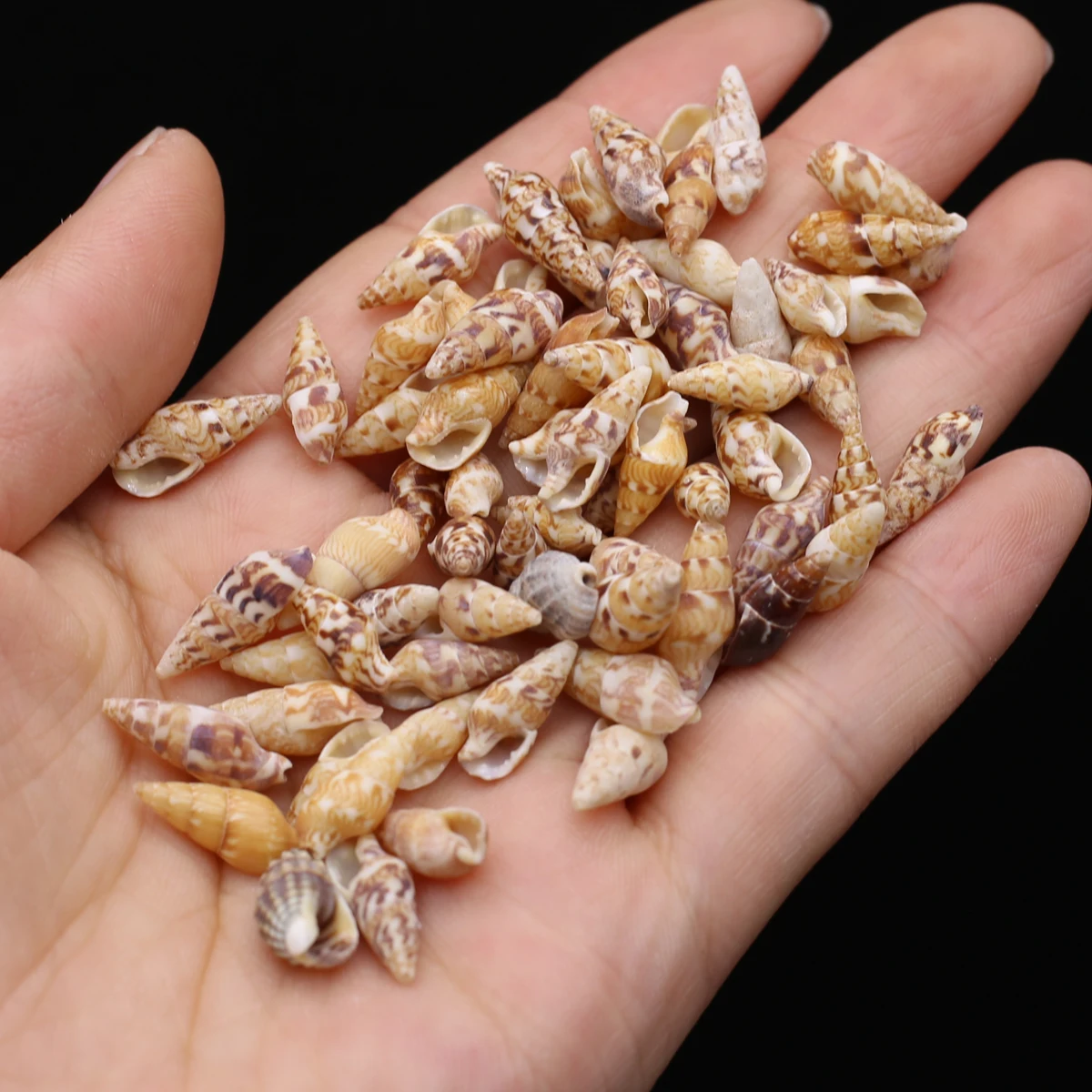 

100G DIY Shell Beads Small Conch Shell Bead Without Hole For Jewelry Making DIY Necklace Bracelet Clothes Accessory