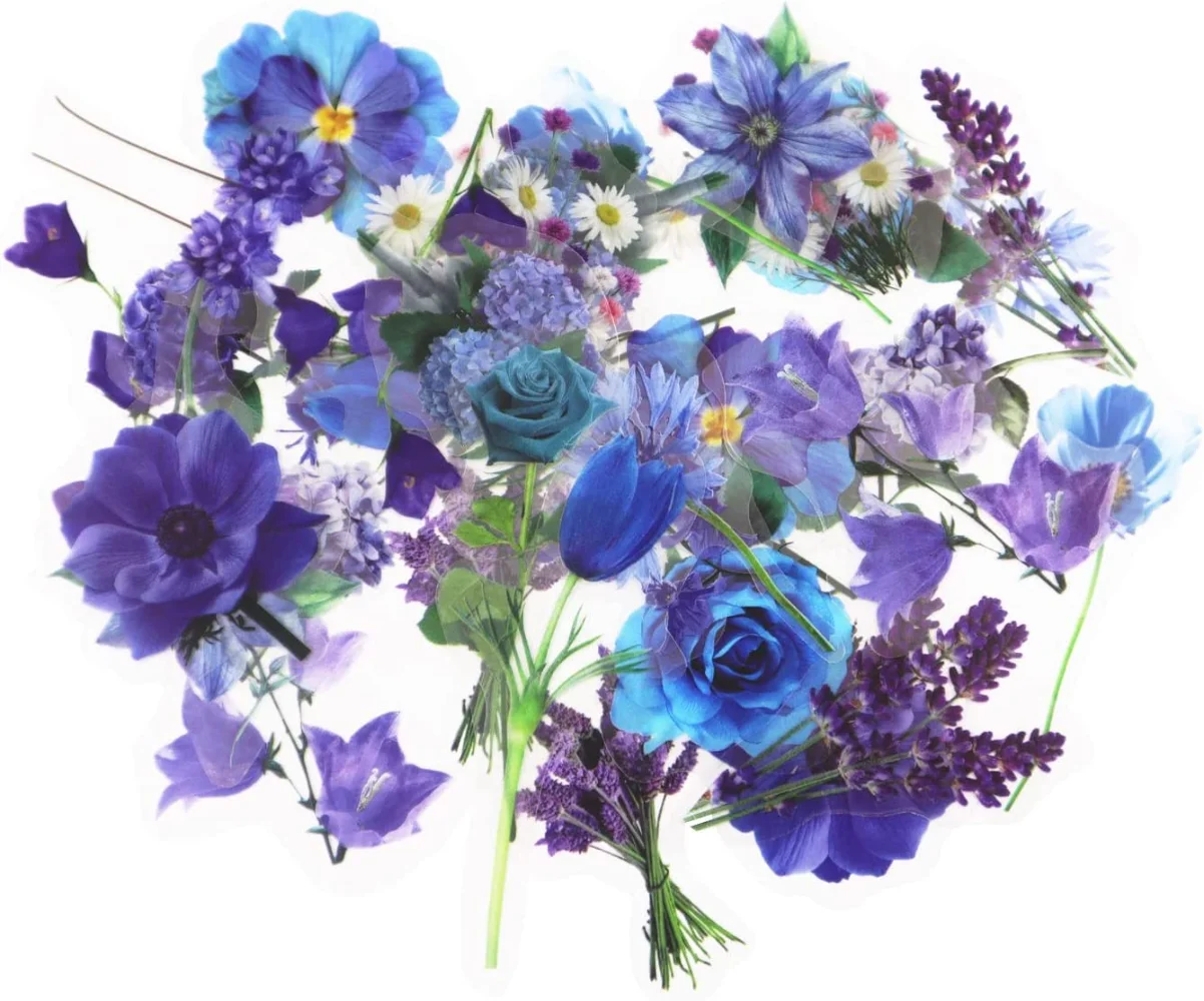 40pcs Flower Plant Stickers 20 Patterns PET Decorative Stickers Flower Scrapbooking Stickers for Craft Album Journal
40pcs Flower Plant Stickers 20 Patterns PET Decorative Stickers Flower Scrapbooking Stickers for Craft Album Journal