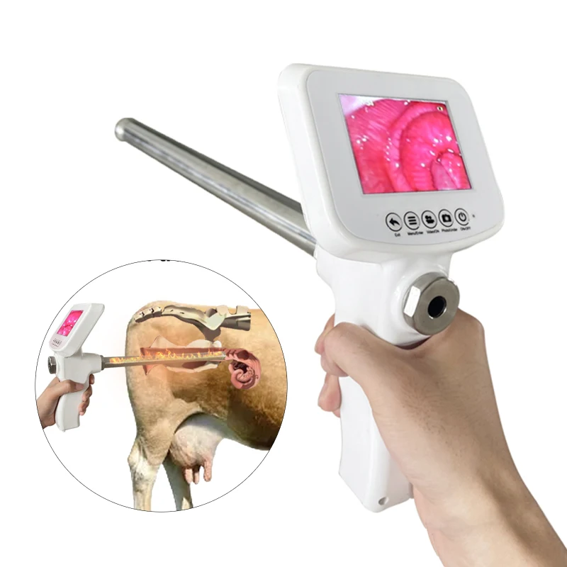 NEW Cow Artificial Insemination Visual Endoscope Sperm Veterinary Breeding Kit Horse Cattle Farm Breeding Kit AI Gun Tools
NEW Cow Artificial Insemination Visual Endoscope Sperm Veterinary Breeding Kit Horse Cattle Farm Breeding Kit AI Gun Tools