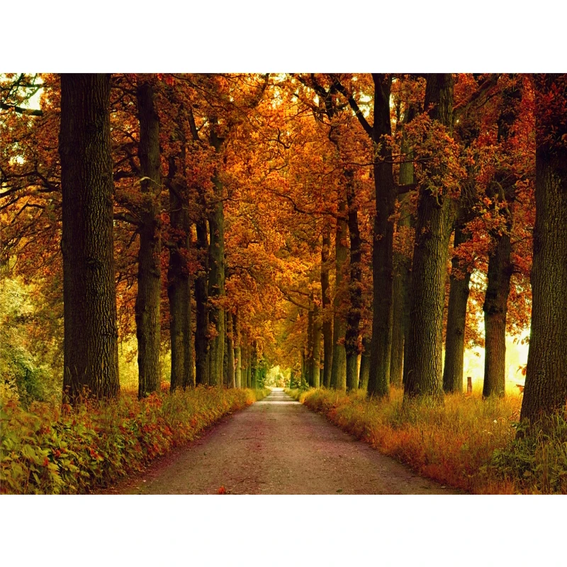 Картина на холсте Yujohom "Осенний пейзаж"
Картина на холсте Yujohom "Осенний пейзаж"