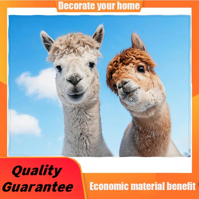 Two Alpacas Printing Super Soft Throw Blanket for Bed Sofa Lightweight Blanket 58 x 80 Inch
Two Alpacas Printing Super Soft Throw Blanket for Bed Sofa Lightweight Blanket 58 x 80 Inch