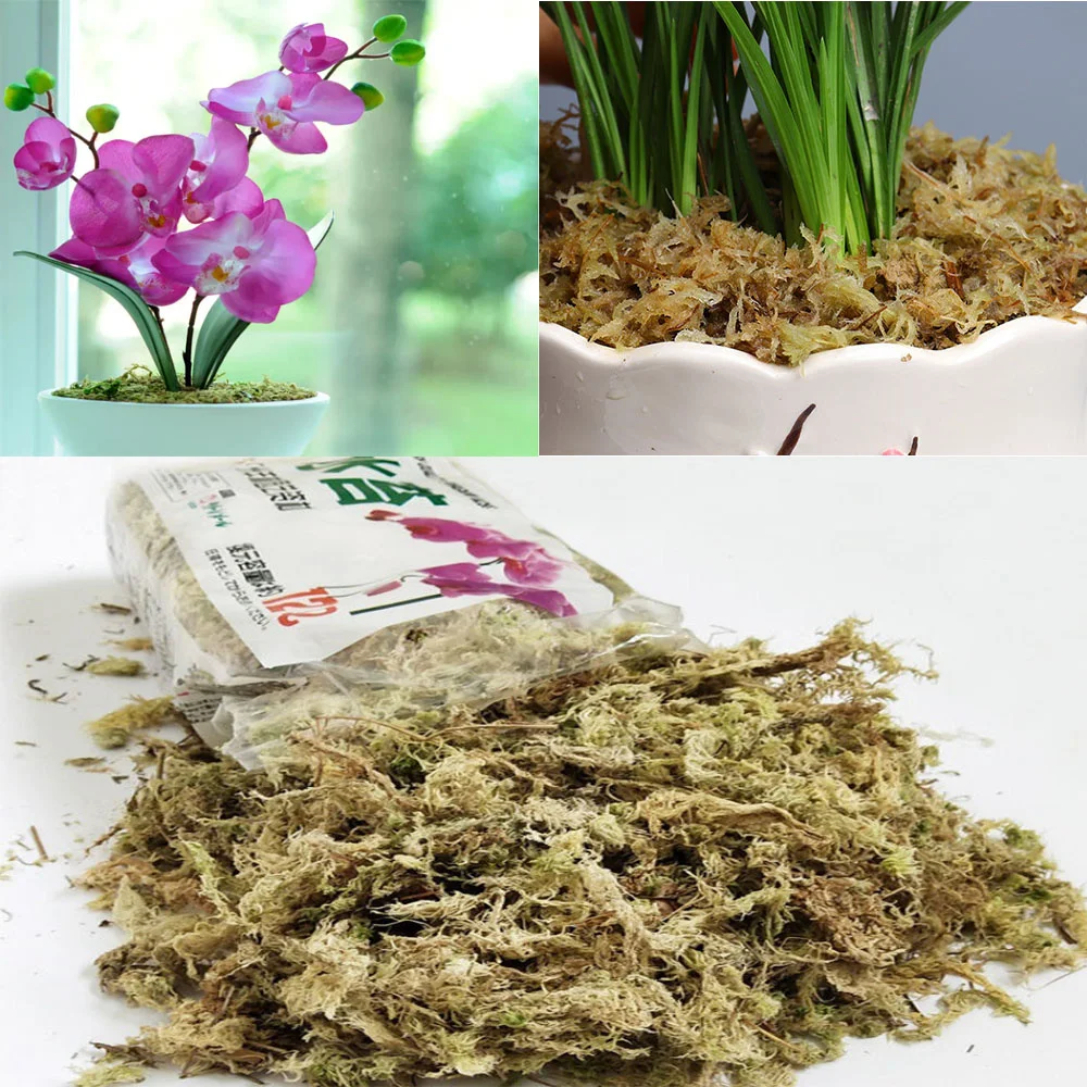 Natural 12L Sphagnum Moss Garden Supplies Moisturizing Nutrition Organic Fertilizer For Phalaenopsis Orchid Flowerpot Deco
Natural 12L Sphagnum Moss Garden Supplies Moisturizing Nutrition Organic Fertilizer For Phalaenopsis Orchid Flowerpot Deco