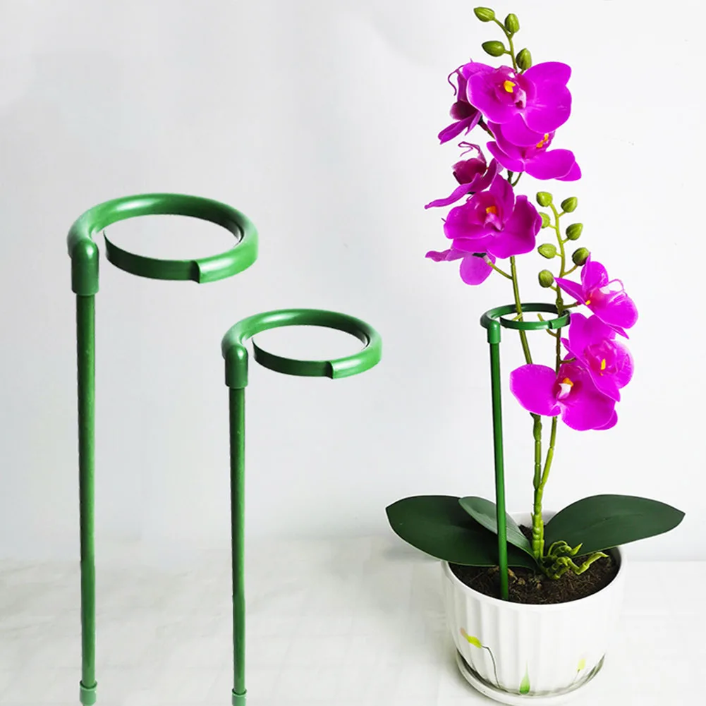 10pcs Plant Support Pole Garden Holder Support Pole Phalaenopsis Climbing Vine Single Stem Plant Support Clips
10pcs Plant Support Pole Garden Holder Support Pole Phalaenopsis Climbing Vine Single Stem Plant Support Clips