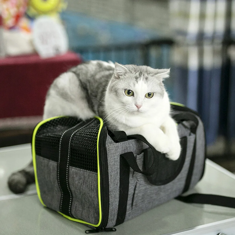 Pet Carrier Airline Approved Soft Sided Carrier for Cats and Dogs Portable Breathable Cozy Travel Pet Bag Car Seat Safe Carrier
Pet Carrier Airline Approved Soft Sided Carrier for Cats and Dogs Portable Breathable Cozy Travel Pet Bag Car Seat Safe Carrier