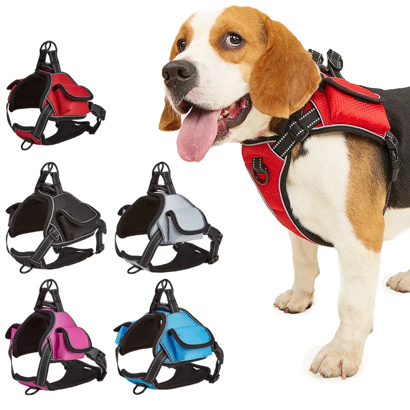 Personalised Dogs Harness With 2 Packet Labrador Chest Strap Reflective Dog Travel Harness Medium Large Dogs Collar Pet Supplies
Personalised Dogs Harness With 2 Packet Labrador Chest Strap Reflective Dog Travel Harness Medium Large Dogs Collar Pet Supplies