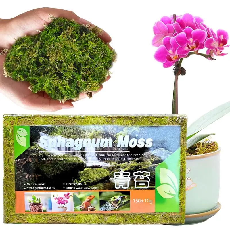 

Сфагнемный мох для растений 150 г, Натуральный Мох для горшков, смесь питания, Искусственный мох для роста, ремесла, цветочный дизайн, мини