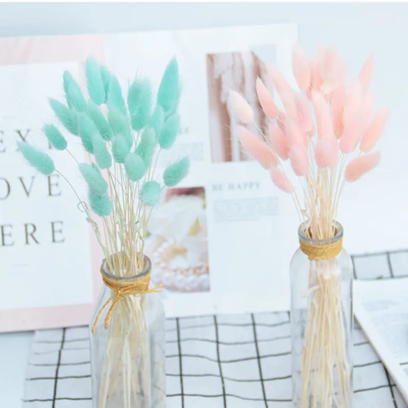 30pcs Natural Dried Flowers Bunny Rabbit Tail Grass Pampas Dried Bouquet Wedding Decoration Artificial Flower Boho Home Decor 
30pcs Natural Dried Flowers Bunny Rabbit Tail Grass Pampas Dried Bouquet Wedding Decoration Artificial Flower Boho Home Decor