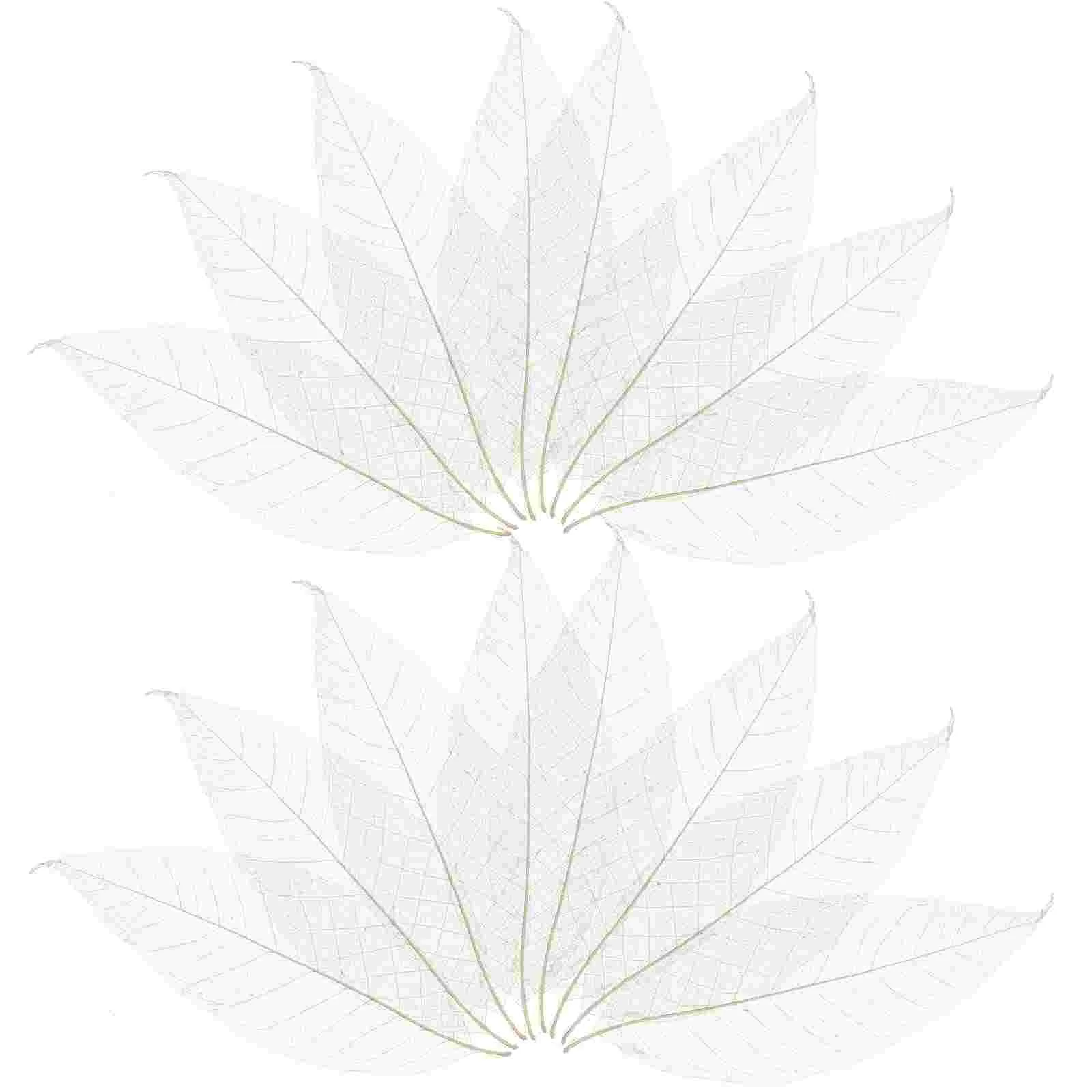 100 Pcs Bookbaga Tree Leaves Specimen Bookmark Accessory Scatchbook Craft Project Wooden
100 Pcs Bookbaga Tree Leaves Specimen Bookmark Accessory Scatchbook Craft Project Wooden
