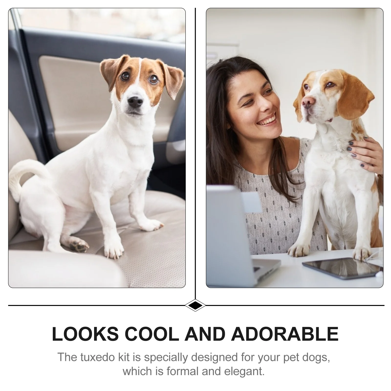 Dogpet Dogs Tuxedo Formal Suit Small Costume Clothing Tux Outfits Wedding Wear Tuxedos Birthday Suits Outfit Puppy Tie Shirt Bow
Dogpet Dogs Tuxedo Formal Suit Small Costume Clothing Tux Outfits Wedding Wear Tuxedos Birthday Suits Outfit Puppy Tie Shirt Bow
