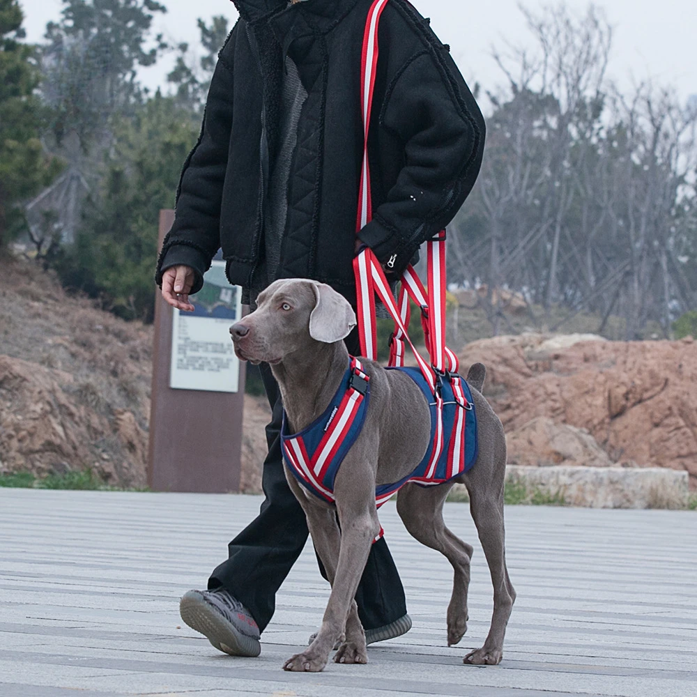 

Pet Supplies Pet Suspender Traction Belt Injury Rehabilitation Disabled Dog Assisted Belt Elderly Dog Assisted Belt Dog Harness