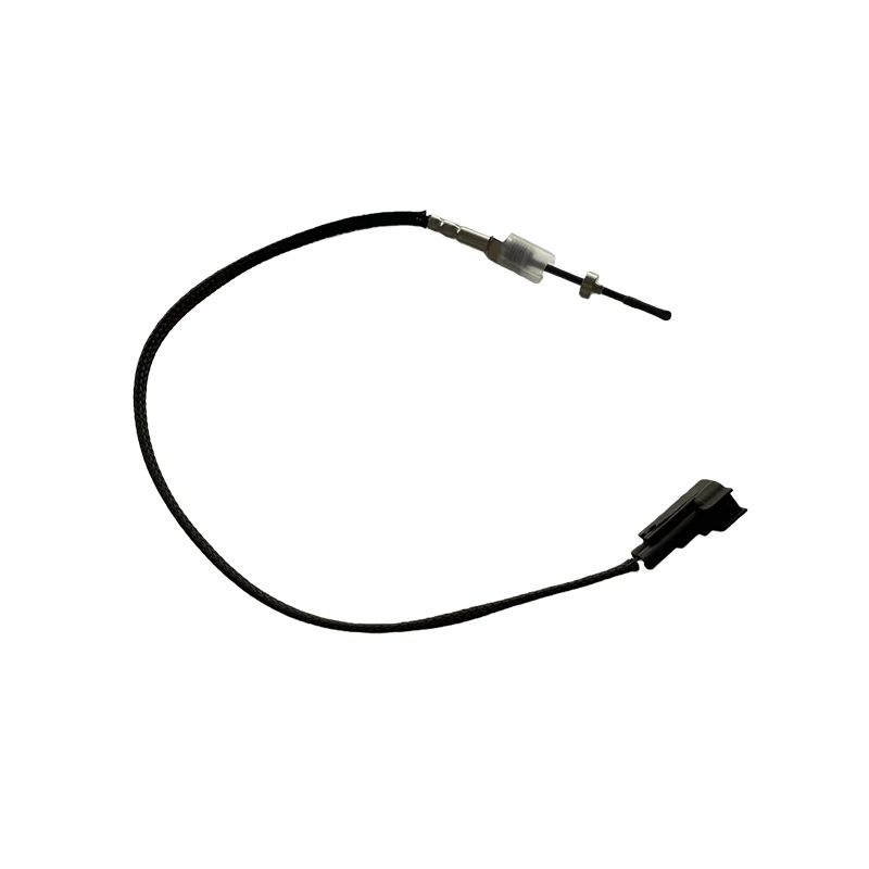 Для Land Rover Range Rover 2010-2012 4.4L V8 дизельный датчик температуры ВЫХЛОПНОГО ГАЗА автомобильные аксессуары LR052169
Для Land Rover Range Rover 2010-2012 4.4L V8 дизельный датчик температуры ВЫХЛОПНОГО ГАЗА автомобильные аксессуары LR052169