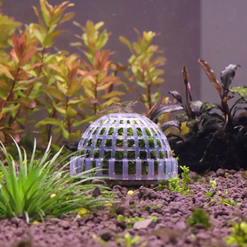 Natural Mineral Moss Ball Filter For Aquarium Crystal Red Shrimp House Fish Tank Decoration Mineral Balls Fish Tank Accessories
Natural Mineral Moss Ball Filter For Aquarium Crystal Red Shrimp House Fish Tank Decoration Mineral Balls Fish Tank Accessories
