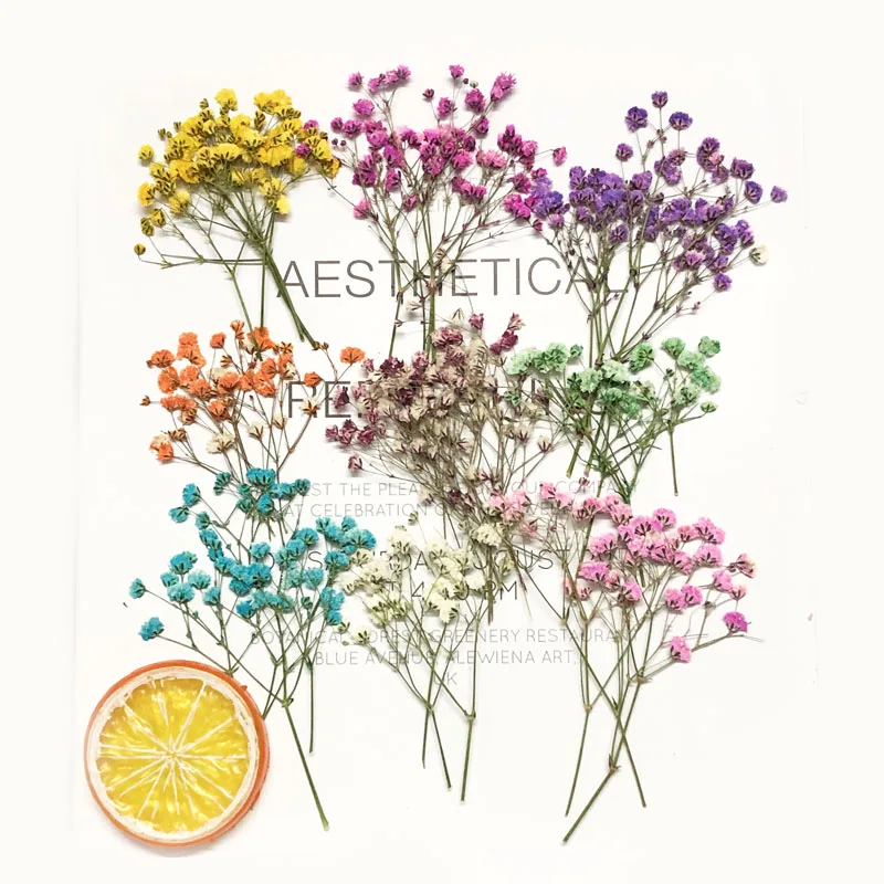 60pcs 5-10cm Dried Pressed Dyed Gypsophila Flowers Plant Herbarium For Jewelry Photo Frame Phone Case Bookmark Craft DIY
60pcs 5-10cm Dried Pressed Dyed Gypsophila Flowers Plant Herbarium For Jewelry Photo Frame Phone Case Bookmark Craft DIY