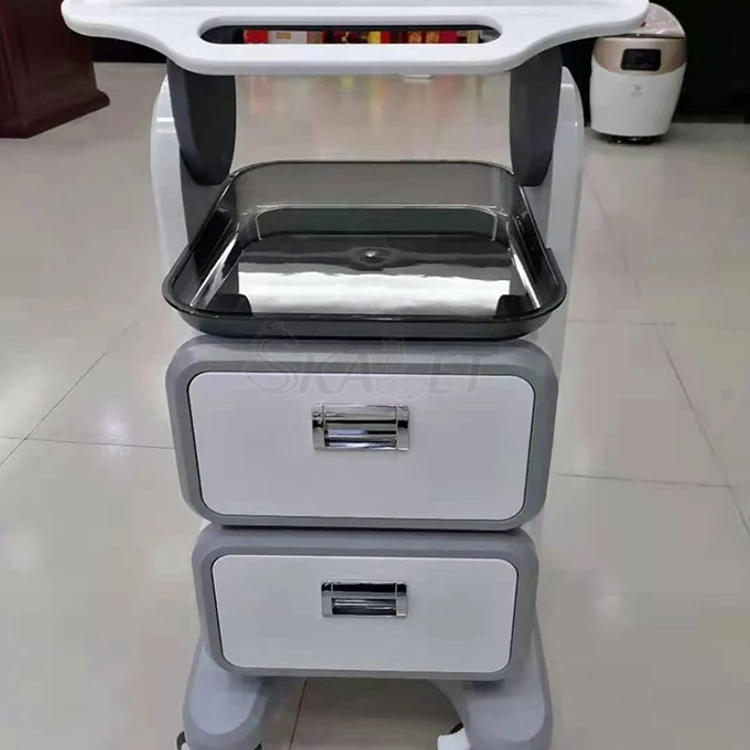 

Professional Rolling Cart with Double Drawer ABS Trolley for Home Use Salon Enjoyment