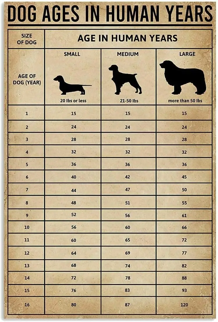 Vntge Knowledge Tn Sgn Dog ges n Humn Yers Metl для Educton nfogrphc Plque Br Cfe Club 12x16 nches
