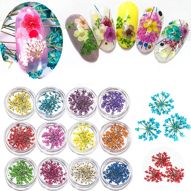 20Pcs/box 3D Dried Flowers Nail Art Decorations Real Dried Flower Stickers DIY Manicure Charms Designs For Nails Accessories
20Pcs/box 3D Dried Flowers Nail Art Decorations Real Dried Flower Stickers DIY Manicure Charms Designs For Nails Accessories