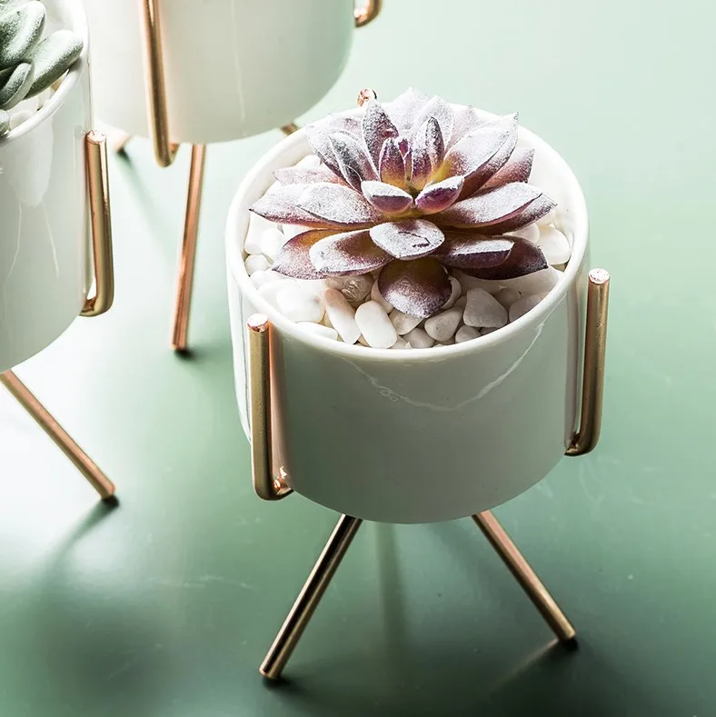 Ceramic Vase Home Decoration Vase Office Table Decoration Vase Flower Pots Ceramic Pots for Plants Flower Pots Decorative
Ceramic Vase Home Decoration Vase Office Table Decoration Vase Flower Pots Ceramic Pots for Plants Flower Pots Decorative