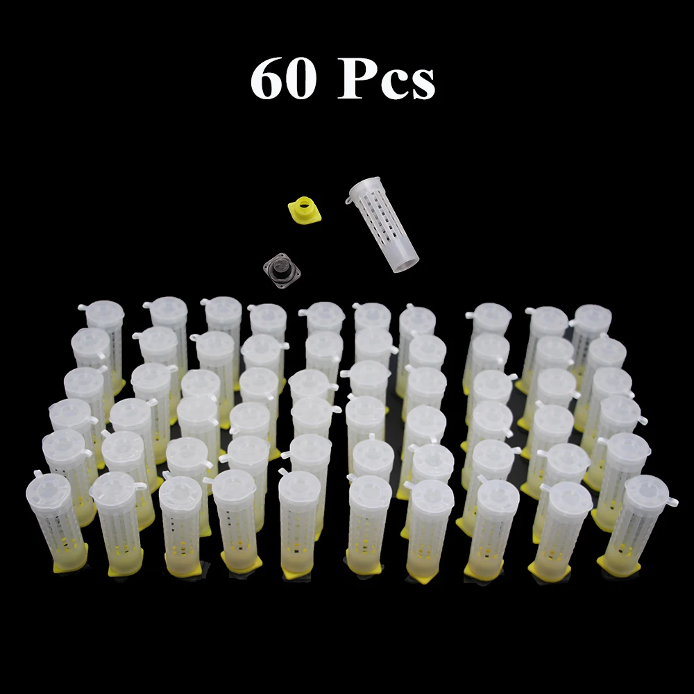 60PCS Professional Beekeeping Queen Cage Rearing Quality Protective Cover Catcher Plastic Bees Box Bees Tool Supplies Wholesale
60PCS Professional Beekeeping Queen Cage Rearing Quality Protective Cover Catcher Plastic Bees Box Bees Tool Supplies Wholesale