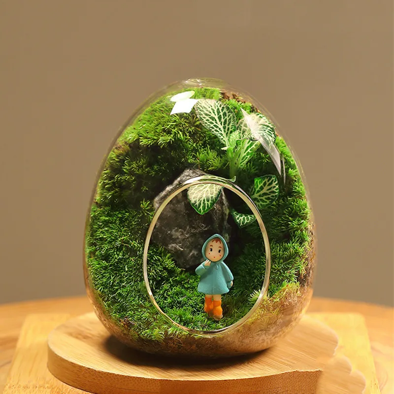 12pcs/pack 8*10cm Small Size Egg Shaped Glass Terrarium Vase Diameter=8cm Height=10cm Microscape Hydroponic Plant Decoration
12pcs/pack 8*10cm Small Size Egg Shaped Glass Terrarium Vase Diameter=8cm Height=10cm Microscape Hydroponic Plant Decoration
