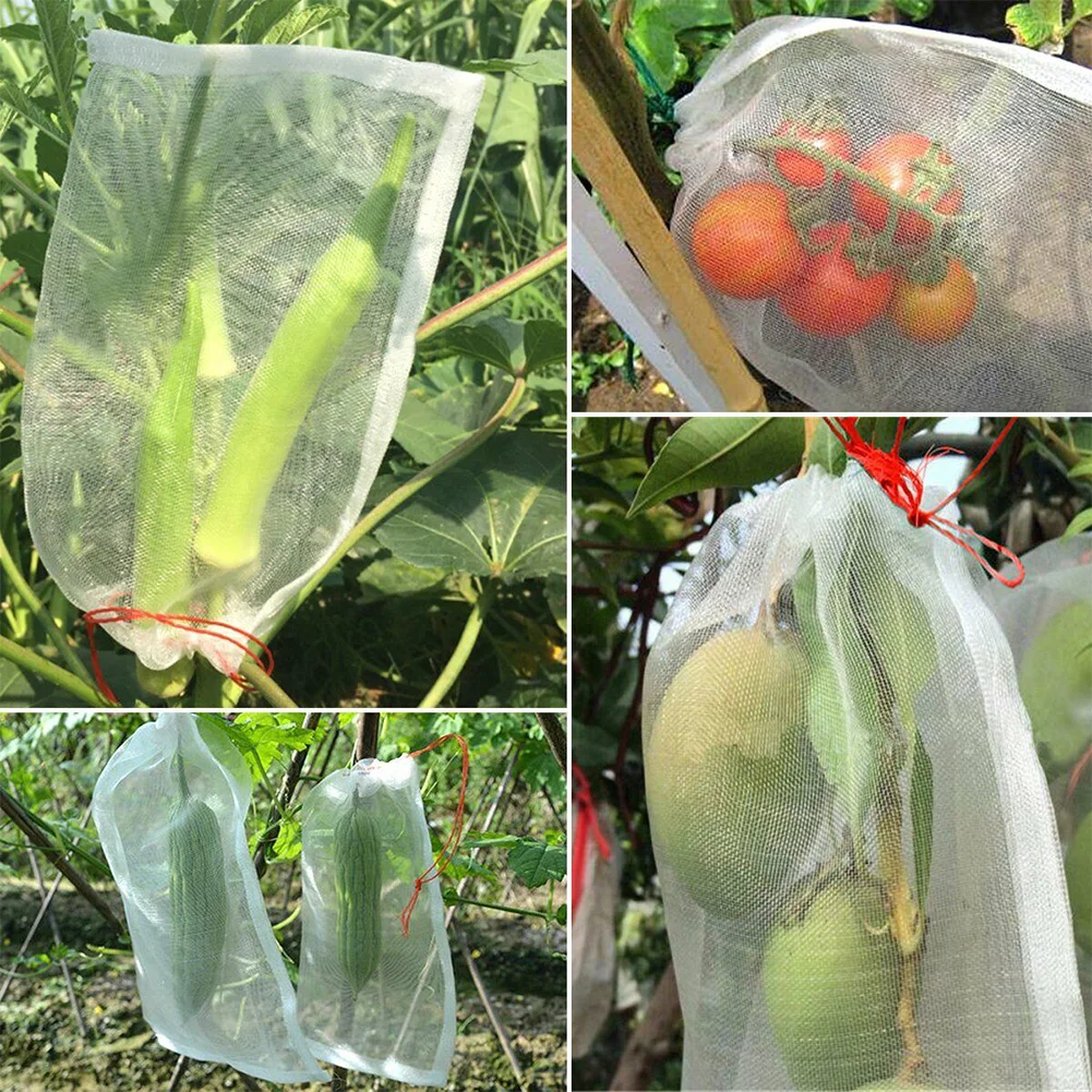 50Pcs/Lot Garden Vegetable Grapes Bags Apples Fruit Protection Bag Pouch Agricultural Pest Control Anti-Bird Mesh Bags
50Pcs/Lot Garden Vegetable Grapes Bags Apples Fruit Protection Bag Pouch Agricultural Pest Control Anti-Bird Mesh Bags