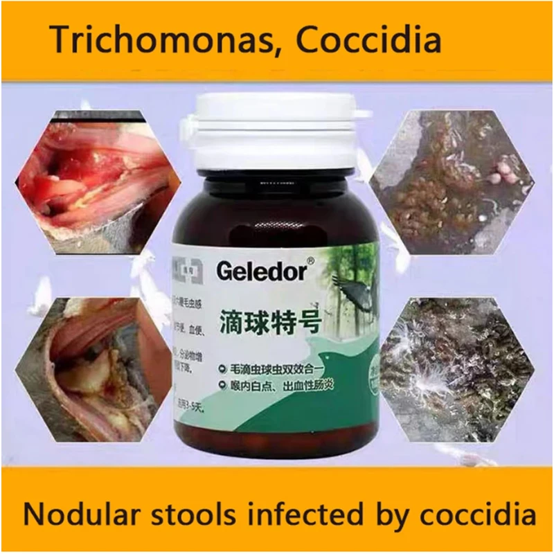 Trichomonas pigeon coccidia two-in-one infection nodular stool digestive disorders 100 tablets
Trichomonas pigeon coccidia two-in-one infection nodular stool digestive disorders 100 tablets