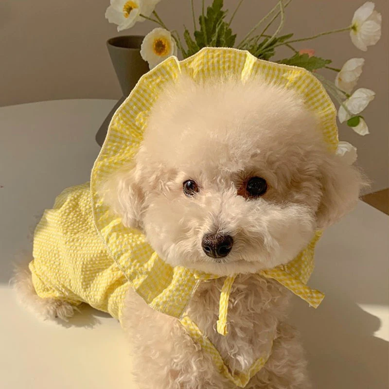 Plaid Camisole Dog Clothes Summer Thin Home Pet Pomeranian Breathable Clothes Puppy Onesie With Hat Pet Products
Plaid Camisole Dog Clothes Summer Thin Home Pet Pomeranian Breathable Clothes Puppy Onesie With Hat Pet Products
