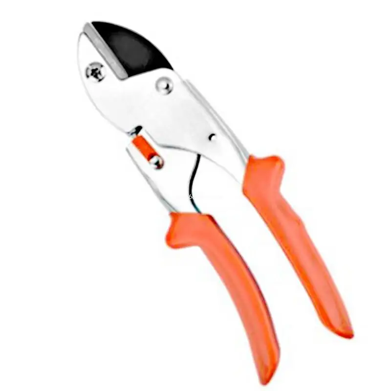 Professional Thin Fruit Pruning Shears Reduce Plant Damage Easy to Operate Dropship
Professional Thin Fruit Pruning Shears Reduce Plant Damage Easy to Operate Dropship