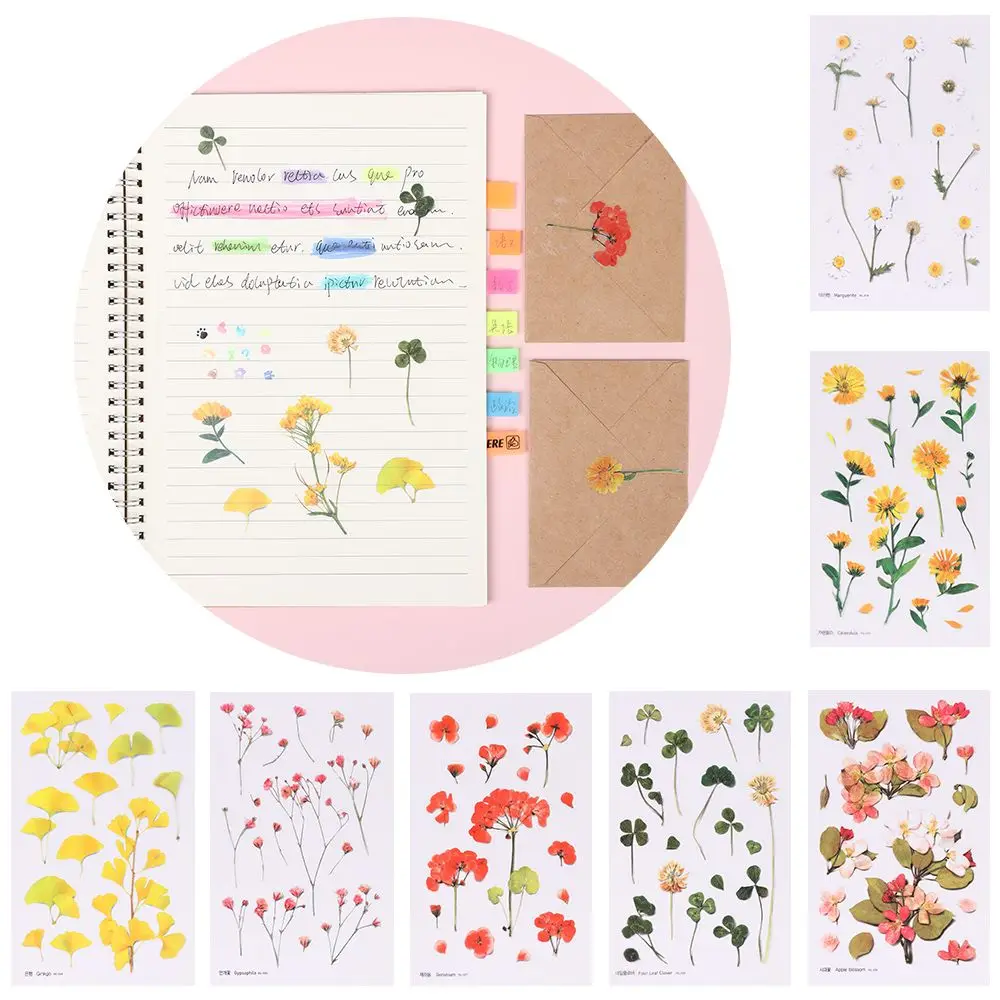 DIY Easy to Use Handmade Scrapooking Decor Scrapbook Stickers Stationery Decal Flowers Stickers Decorative Label
DIY Easy to Use Handmade Scrapooking Decor Scrapbook Stickers Stationery Decal Flowers Stickers Decorative Label