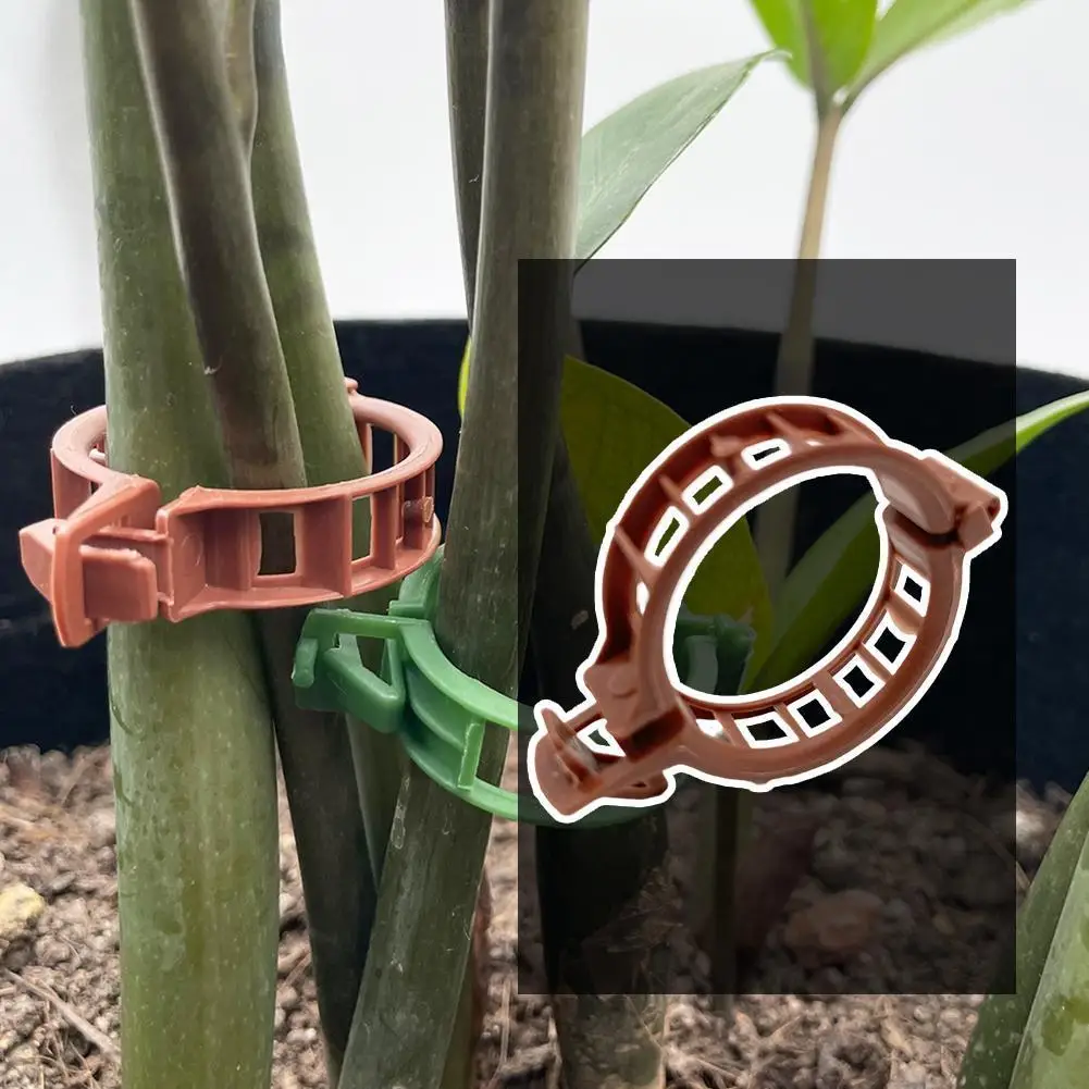 Plastic Plant Clips Supports Connects Reusable Protection Grafting Fixing Tool Gardening Supplies For Vegetable Tomato Hot Sale
Plastic Plant Clips Supports Connects Reusable Protection Grafting Fixing Tool Gardening Supplies For Vegetable Tomato Hot Sale