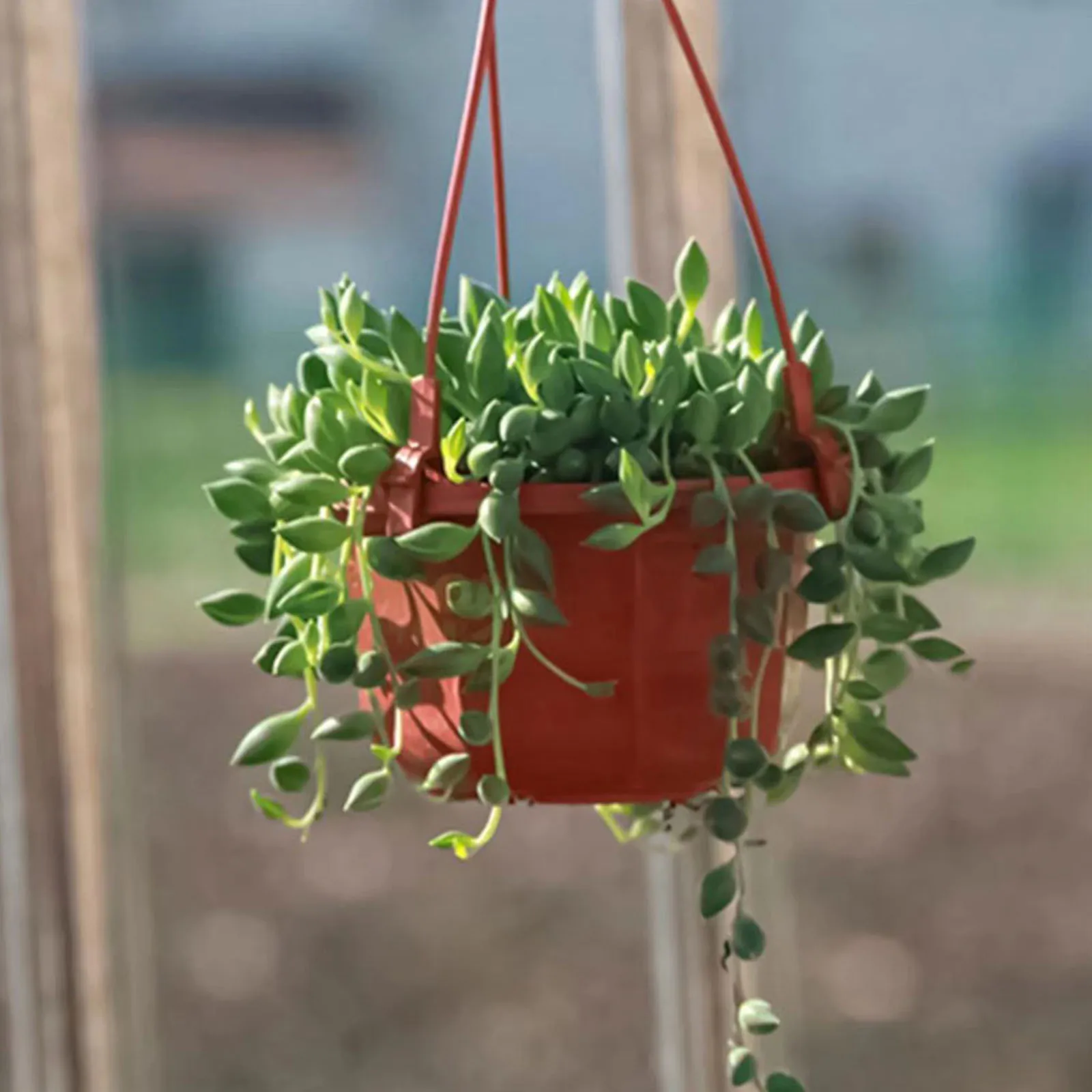 14PCS Hanging Chain Flower Basket Plant Hanging Planter Garden Pot Flower Vase Holder Flower Pot Plant Holder Balcony Decor
14PCS Hanging Chain Flower Basket Plant Hanging Planter Garden Pot Flower Vase Holder Flower Pot Plant Holder Balcony Decor