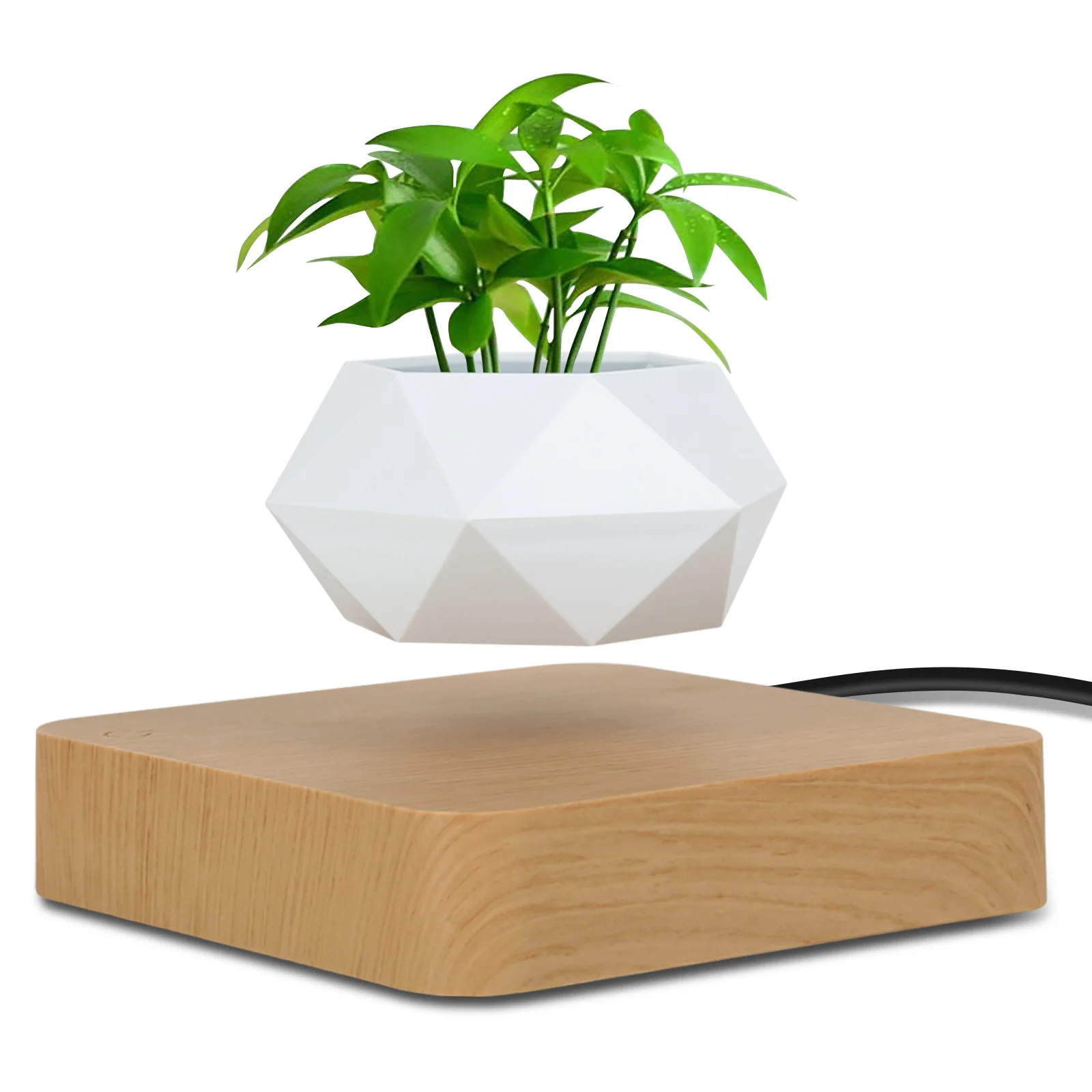 Fast Shipping Magnetic Suspension Flower Pot Levitating Air Bonsai Plant Succulent Patio Decoration Desktop Christmas Gift
Fast Shipping Magnetic Suspension Flower Pot Levitating Air Bonsai Plant Succulent Patio Decoration Desktop Christmas Gift