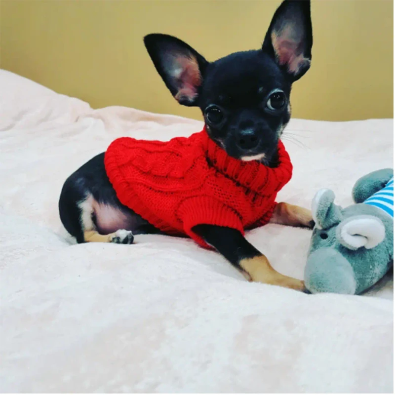 Dog Sweater Warm Dog Cat Clothes For Small Medium Large Dogs Woolly Soft Coat Outfits Chihuahua Bulldog Knitted Puppy Clothing
Dog Sweater Warm Dog Cat Clothes For Small Medium Large Dogs Woolly Soft Coat Outfits Chihuahua Bulldog Knitted Puppy Clothing