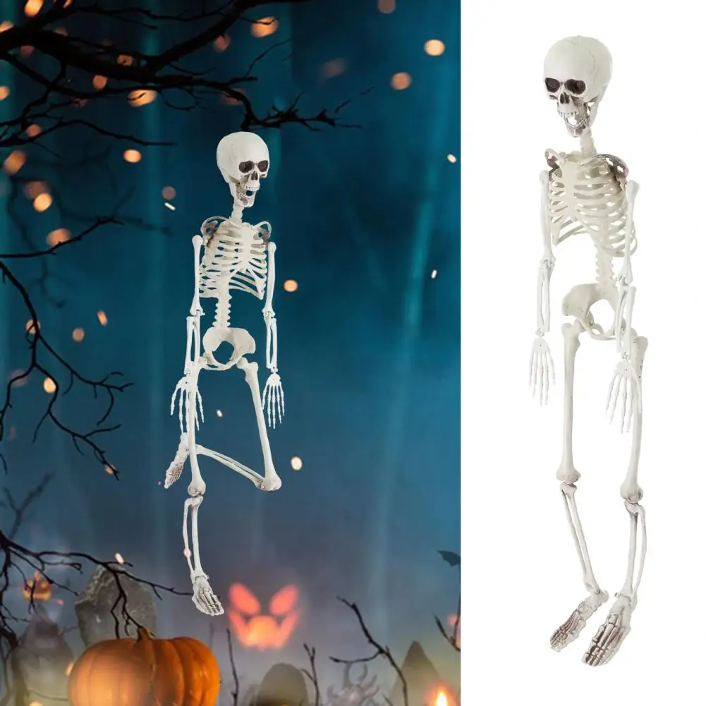 Halloween Scary Skull Skeleton Dec Realistic Movable Skeleton Props Scary Create Atmosphere Halloween Decorations Haunted Houses
Halloween Scary Skull Skeleton Dec Realistic Movable Skeleton Props Scary Create Atmosphere Halloween Decorations Haunted Houses