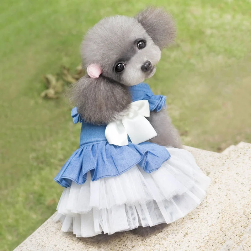 Dog Summer Dress Pet Cat Party Bowknot Dress Chihuahua Girl Wedding Jean Dress Skirt Puppy Go Out Clothes for Small Medium Dogs
Dog Summer Dress Pet Cat Party Bowknot Dress Chihuahua Girl Wedding Jean Dress Skirt Puppy Go Out Clothes for Small Medium Dogs