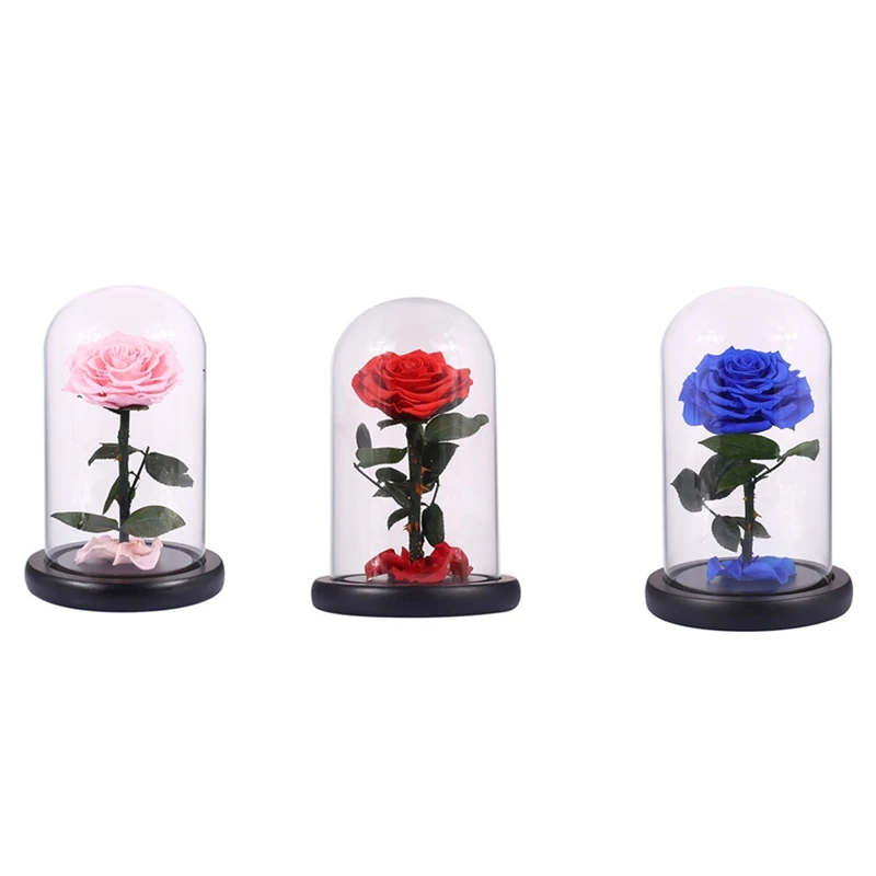 Glass Cover Fresh Preserved Rose Flower Barbed Rose Flores For Wedding Marriage Home Party Decoration Valentine'S Day Gift
Glass Cover Fresh Preserved Rose Flower Barbed Rose Flores For Wedding Marriage Home Party Decoration Valentine'S Day Gift