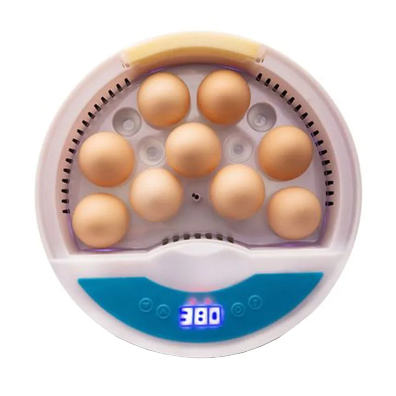 Инкубатор для перепелов и голубей, 110 В/220 В
Инкубатор для перепелов и голубей, 110 В/220 В