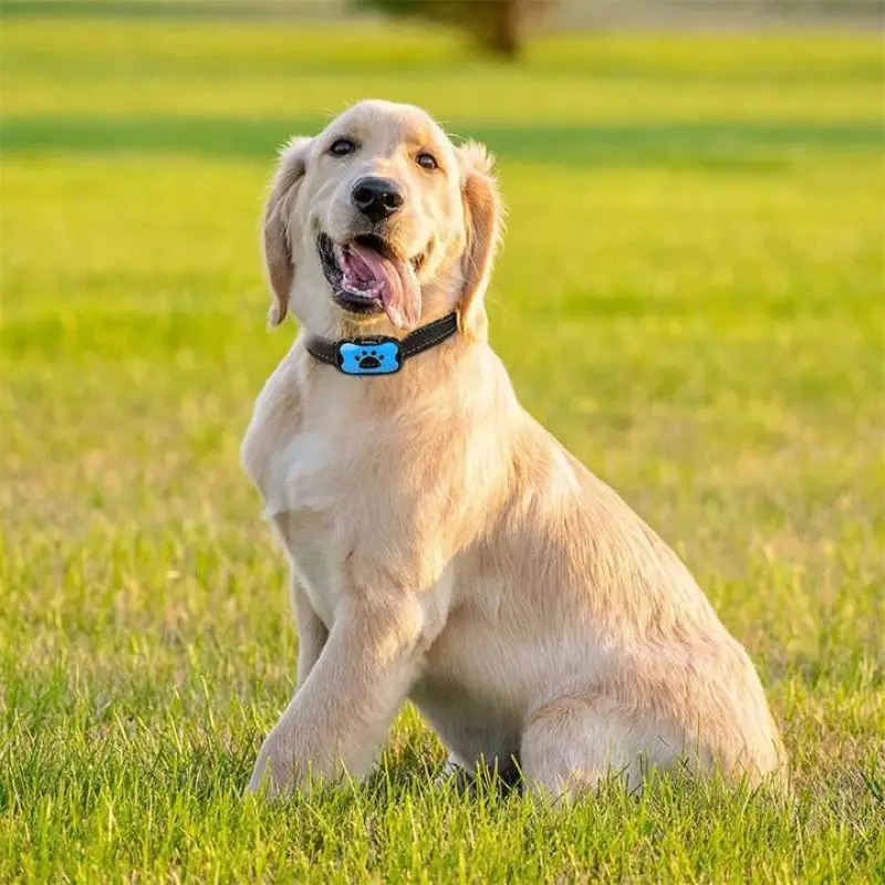 Pet Dog Anti Barking Device USB Electric Ultrasonic Dogs Training Collar Dog Stop Barking Vibration Anti Bark Collar Dropship 
Pet Dog Anti Barking Device USB Electric Ultrasonic Dogs Training Collar Dog Stop Barking Vibration Anti Bark Collar Dropship