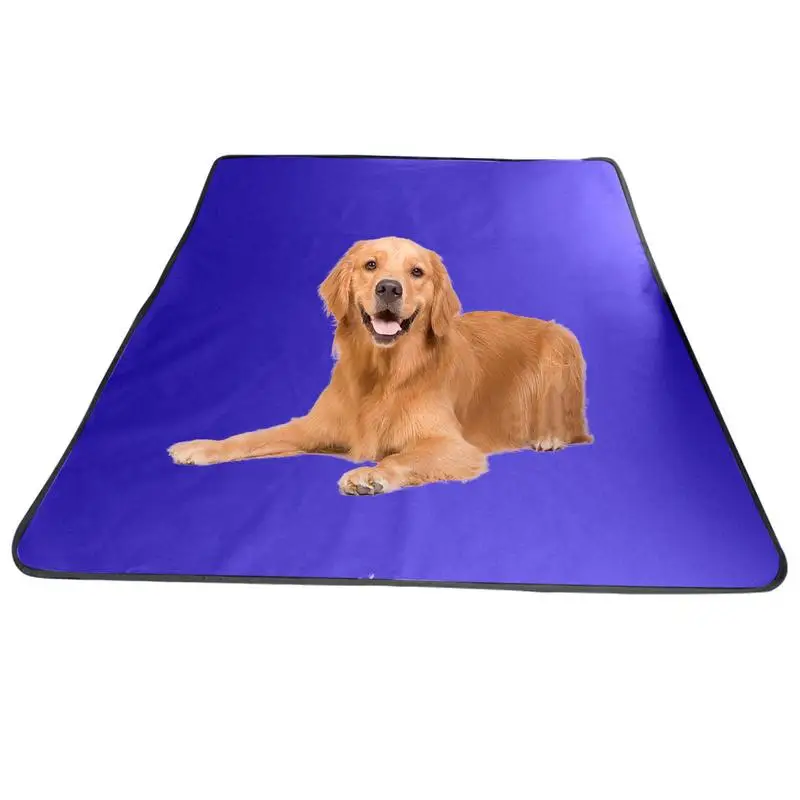 Dog Mat For Car Backseat Universal Waterproof Pad Dog Car Seat Cover Pet Dog Car Seat Cover Mattresses For Pet Vehicle Backseat
Dog Mat For Car Backseat Universal Waterproof Pad Dog Car Seat Cover Pet Dog Car Seat Cover Mattresses For Pet Vehicle Backseat