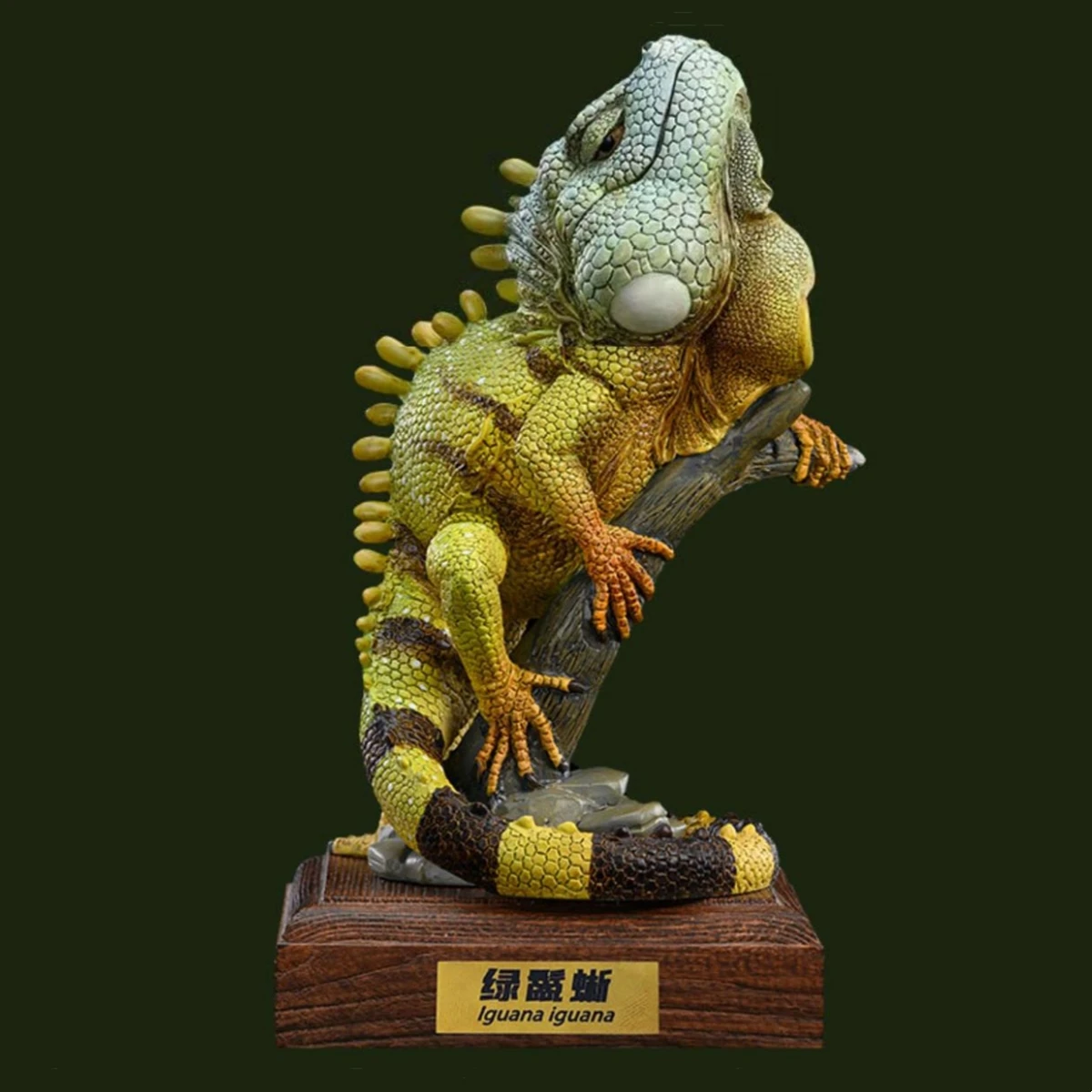 Фигурка игуаны обычной зеленой с основанием, модель игуаны, Vol.6, подарок на Рождество для взрослых и детей, игрушки, украшение
Фигурка игуаны обычной зеленой с основанием, модель игуаны, Vol.6, подарок на Рождество для взрослых и детей, игрушки, украшение
