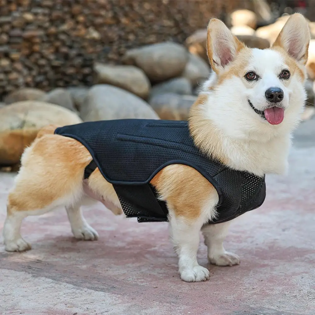 Pet Intervertebral Disc Support Vest Soft Breathable Spine Surgery Protective Harness Pet Clothes For Pain Relief
Pet Intervertebral Disc Support Vest Soft Breathable Spine Surgery Protective Harness Pet Clothes For Pain Relief