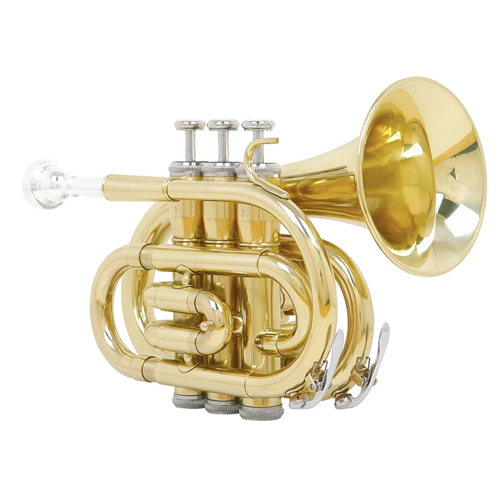 Mouthpiece Pocket Trumpet Musical Instruments With A Mouthpiece Bb Flat Pocket Trumpet Brass Trumpet For Students Beginners
Mouthpiece Pocket Trumpet Musical Instruments With A Mouthpiece Bb Flat Pocket Trumpet Brass Trumpet For Students Beginners