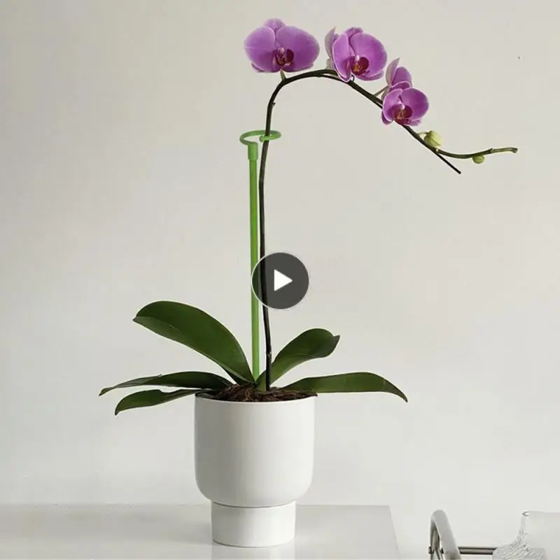 Multi-function Modeling Garden Climbing Pergola High Quality Easy To Use And Adjust Pergola Multiple Sizes Gardening Supplies
Multi-function Modeling Garden Climbing Pergola High Quality Easy To Use And Adjust Pergola Multiple Sizes Gardening Supplies