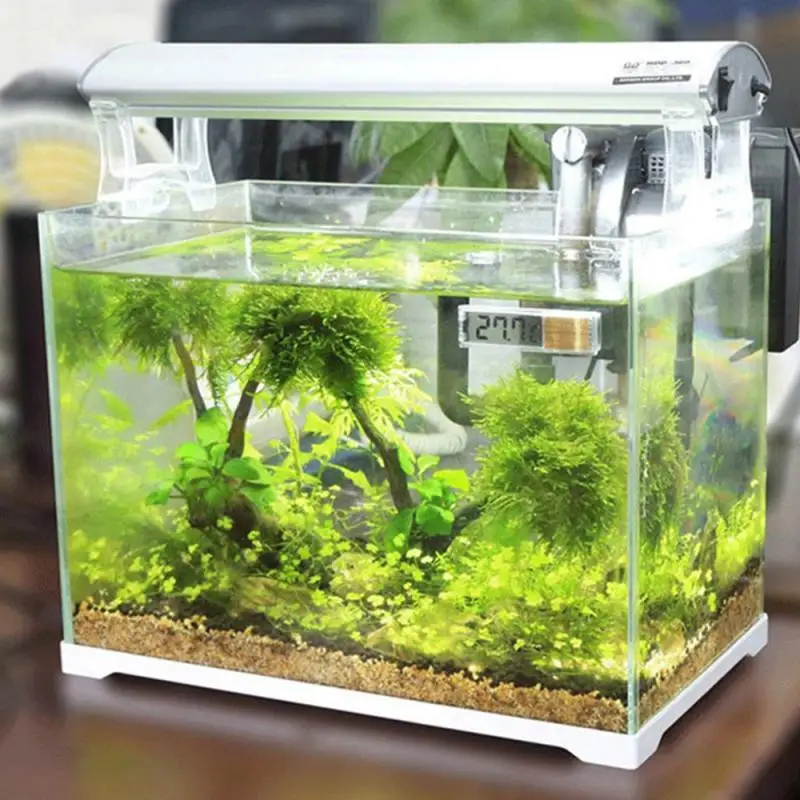 3d Perspective Effect Fish Tank Thermometer Pet Products Temperature Measurement Tools Transparent Fish Tank Utensils Small Size
3d Perspective Effect Fish Tank Thermometer Pet Products Temperature Measurement Tools Transparent Fish Tank Utensils Small Size