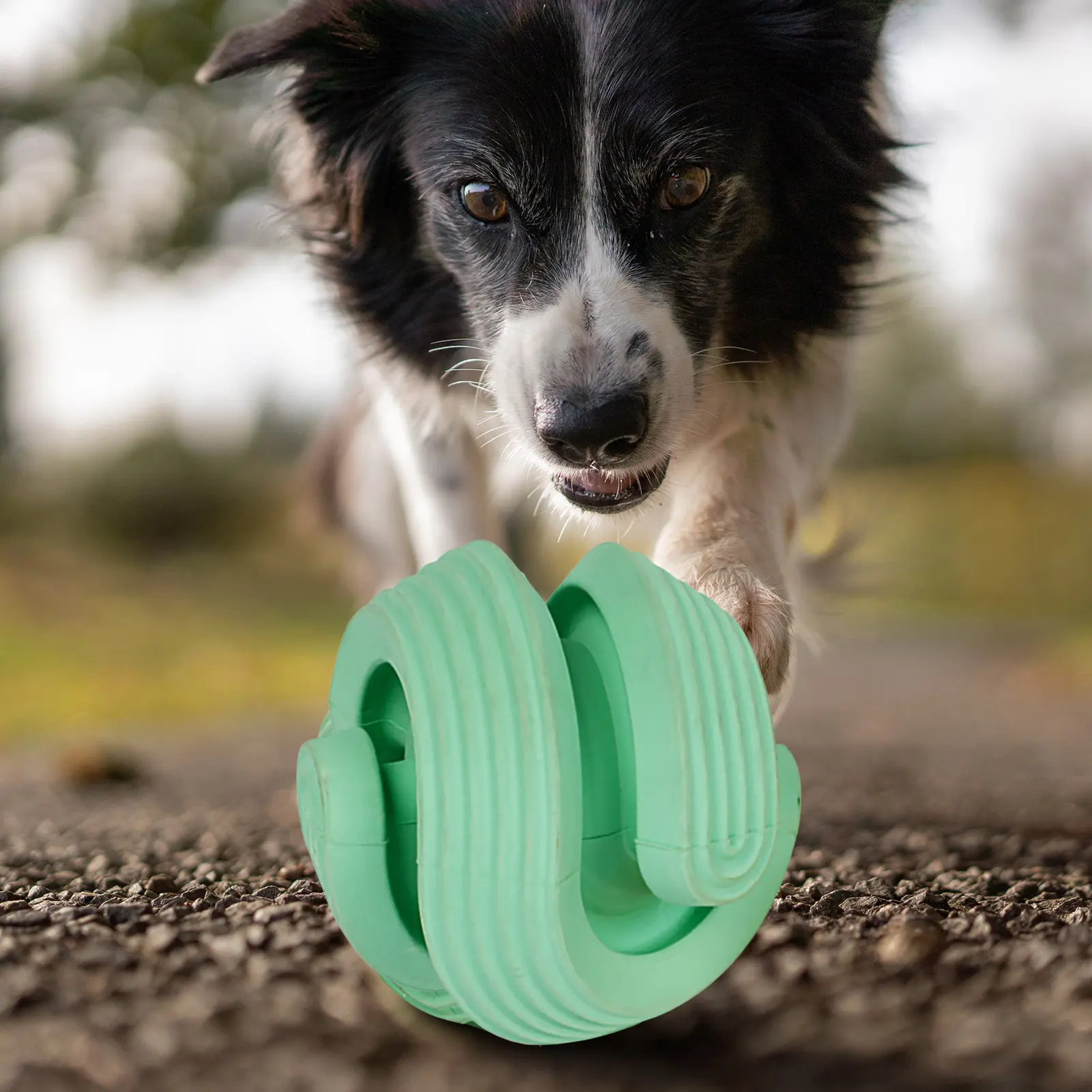 Dog Slow Feeder Ball Creative Dog Feeder Ball Puzzle Dog Interactive Toy Keep Teeth Clean Safe To Play Durable Dog Chewing Ball
Dog Slow Feeder Ball Creative Dog Feeder Ball Puzzle Dog Interactive Toy Keep Teeth Clean Safe To Play Durable Dog Chewing Ball