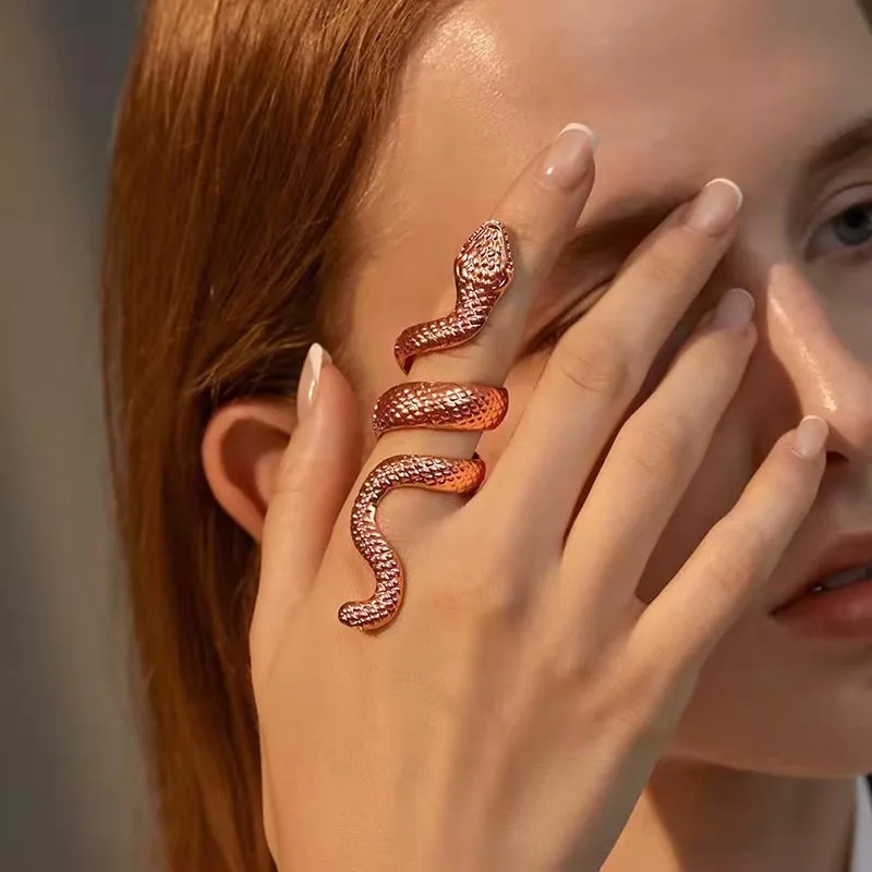 Snake RingShaped Retro Punk Exaggerated Spirit Ring Open Ring Temperament Adjustable Ring Jewelry
Snake RingShaped Retro Punk Exaggerated Spirit Ring Open Ring Temperament Adjustable Ring Jewelry