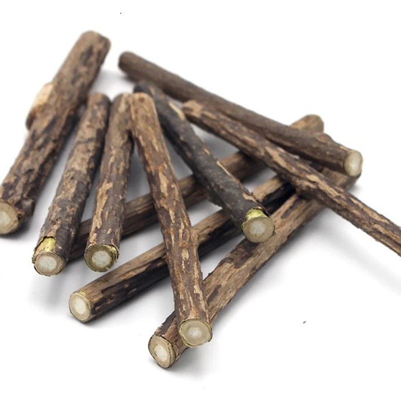 10/15/20pcs/lot Natural Matatabi Pet Cat Snacks Sticks Cleaning Tooth Catnip Cat Toys Actinidia Silvervine Pet Toy For Cats
10/15/20pcs/lot Natural Matatabi Pet Cat Snacks Sticks Cleaning Tooth Catnip Cat Toys Actinidia Silvervine Pet Toy For Cats