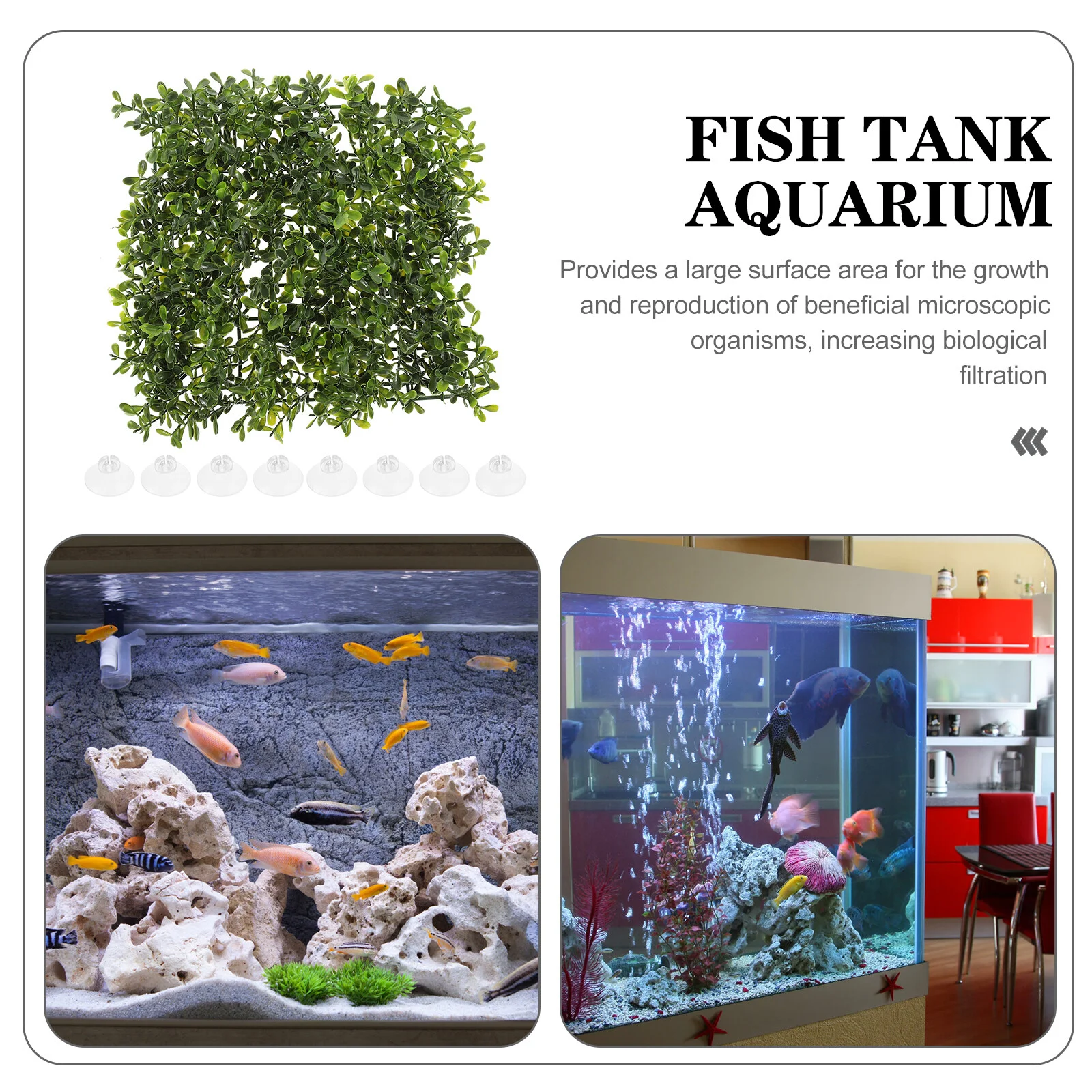Tank- Artificial Artificial Grass Lawn with 8 Suction Cups, Aquarium 
Tank- Artificial Artificial Grass Lawn with 8 Suction Cups, Aquarium